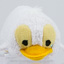 Duckling (Lilo & Stitch)